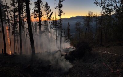 Line Strengthening, Mop-Up Operations Continue on Upper Applegate Fire