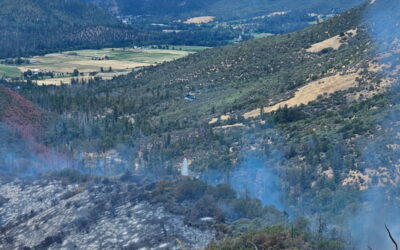 Firefighters complete 95% of the Upper Applegate Fire line   