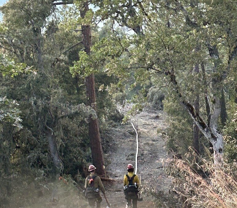 Steady Progress Continues on Upper Applegate Fire