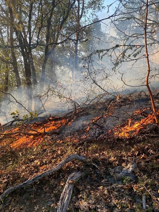 Escaped Burn Piles Cause Wards Creek Road Fire, Citation Issued