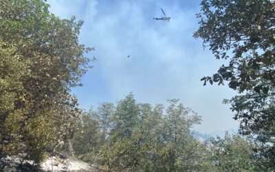 Wards Creek Fire Challenges Crews Wednesday, Resources Ordered for Overnight