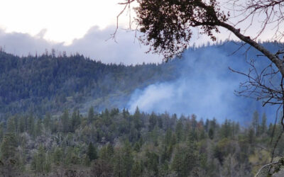 ODF Southwest Oregon District Responds to First Fires of the Year, Warm Weather in the Forecast Could Bring Increased Risk