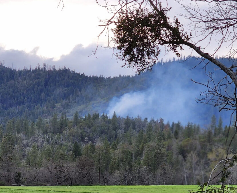 ODF Southwest Oregon District Responds to First Fires of the Year, Warm Weather in the Forecast Could Bring Increased Risk