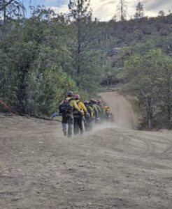 A row of firefighters walking down a dozer line