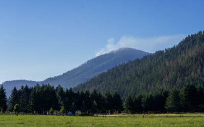 Dept. of Forestry Complex Incident Management Team 3 makes progress on lightning fires as temperatures increase   