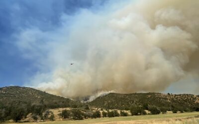 Aggressive initial attack on Upper Applegate Fire, firefighters holding incident at estimated 350 acres   